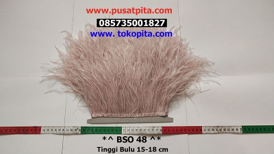 large2 BSO 48